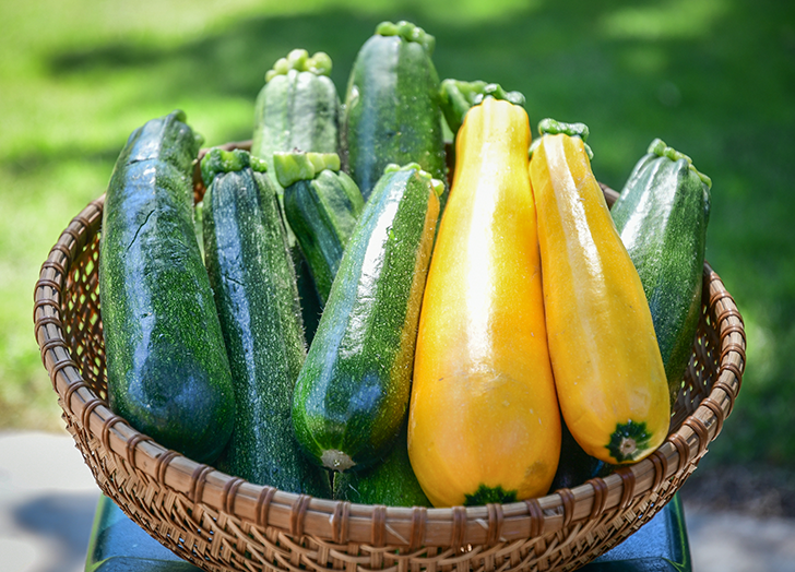 Fra eikenøtt til zucchini, her er 20 forskjellige squashtyper (pluss hvordan du bruker dem)
