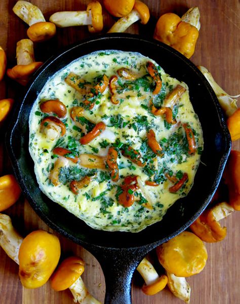 ክላሲክ chanterrelle omelet የምግብ አሰራር