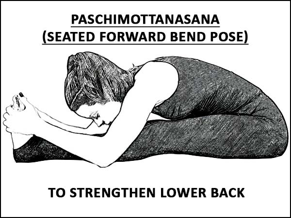 Paschimottanasana (سيٽل فارورڊ بینڈ پوز) لوئر پٺ کي مضبوط ڪرڻ لاءِ