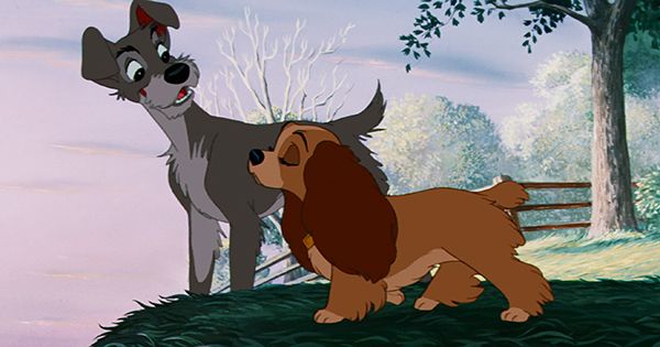 Seznamte se se záchranářským psem v hlavní roli v Disneyho remaku Lady & the Tramp